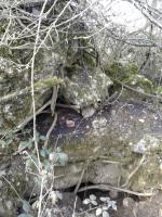 Ligne Maginot - U - BOIS SELLIER - (Blockhaus pour canon) - Fragment subsistant (à gauche de l'entrée supposée).