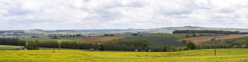 Ligne Maginot - 15A - LA VIGNETTE SUD - (Blockhaus pour arme infanterie) - Vue panoramique du nord-est, par La Ferté vers St. Walfroy