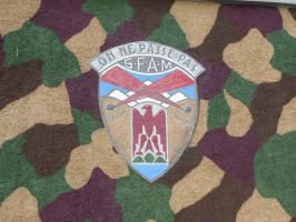 Ligne Maginot - RIMPLAS (RS) - (Ouvrage d'artillerie) - 