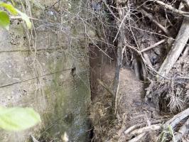 Ligne Maginot - 68BIS - LES BRUYERES - (Blockhaus pour canon) - L'arrière avec l'entrée hommes remblayée