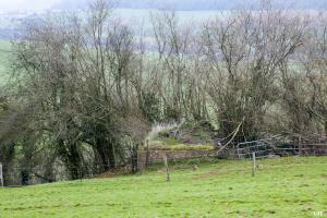 Ligne Maginot - 63BIS - FRESNOIS EST - (Blockhaus pour canon) - Vue de loin