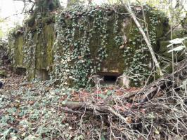 Ligne Maginot - 64BIS - BOIS LE SART SUD - (Blockhaus pour arme infanterie) - Vue extérieure des trois créneaux.