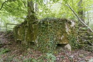 Ligne Maginot - 64BIS - BOIS LE SART SUD - (Blockhaus pour arme infanterie) -  