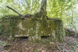 Ligne Maginot - 64BIS - BOIS LE SART SUD - (Blockhaus pour arme infanterie) -   