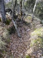 Ligne Maginot - O42 - LA COLETTA NORD - (Casemate d'infanterie - Simple) - Environnement
Tranchée observatoire sur le sommet de la colline.
