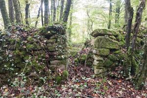 Ligne Maginot - HAUT DE VILLERS - (PC) - Rares vestiges encore visibles 