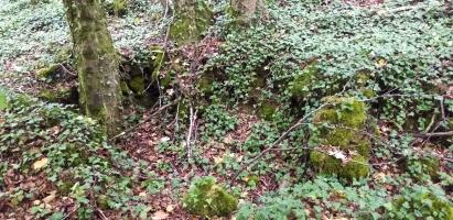 Ligne Maginot - HAUT DE VILLERS - (PC) - Emplacement supposé pour mortiers
Il est en contre-bas de la route