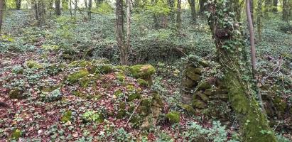 Ligne Maginot - HAUT DE VILLERS - (PC) - Abri ruiné