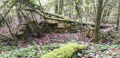 Ligne Maginot - HAUT DE VILLERS - (PC) - Abri ruiné