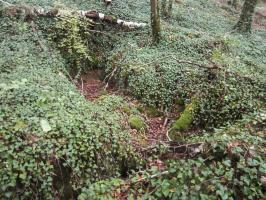 Ligne Maginot - HAUT DE VILLERS - (PC) - Retranchement