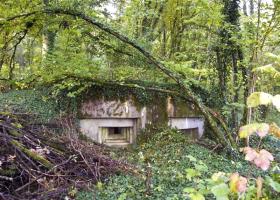 Ligne Maginot - 10 - LES OEUILLONS EST - (Blockhaus pour arme infanterie) - 