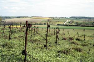 Ligne Maginot - EINSELING SUD - C73 - (Casemate d'infanterie - Simple) - Réseau de barbelés