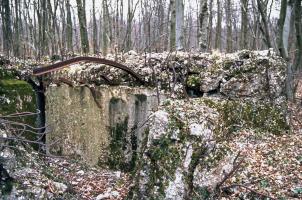 Ligne Maginot - BOIS DE KERFENT SUD 2 - (Blockhaus de type indéterminé) - 