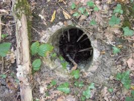 Ligne Maginot - BB374 - (Blockhaus pour canon) - Attention où l'on met les pieds.