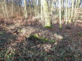 Ligne Maginot - Bb43-E (Blockhaus pour arme infanterie)) - Le blockhaus pour FM.