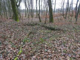 Ligne Maginot - BB43-C - (Cuve pour canon) - La cuve de forme carré est encore discernable bien que comblé par de la terre et des feuilles.