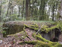 Ligne Maginot - BB354 - (Blockhaus pour arme infanterie) - 