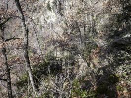 Ligne Maginot - LE COLLET 2 - (Abri) - 