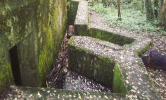 Ligne Maginot - M101B - BOIS DE GUESSLING - (Blockhaus pour arme infanterie) - 