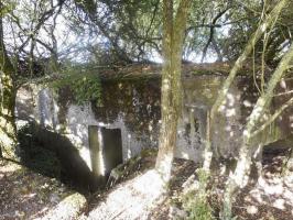Ligne Maginot - M112B - TANZGARTEN - (Blockhaus pour arme infanterie) - 