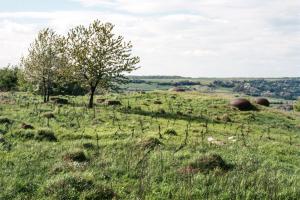 Ligne Maginot - EINSELING - A36 - (Ouvrage d'infanterie) - 