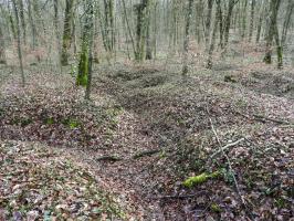 Ligne Maginot - BB42-C - (Blockhaus pour arme infanterie) - La tranchée d'accès.