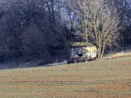 Ligne Maginot - 1B - VAUX LES MOUZON EST - (Blockhaus pour canon) - Vue vers le sud-est, B9-B