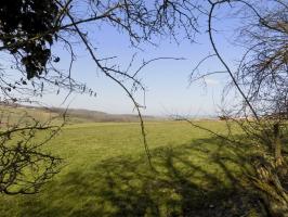 Ligne Maginot - 2B - VAUX LES MOUZON OUEST - (Blockhaus pour canon) - Vue vers le nord