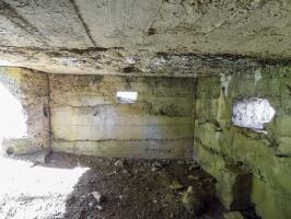 Ligne Maginot - 2C - LA CABRETTE - (Blockhaus pour canon) - Créneaux FM/Obs et AC centrale