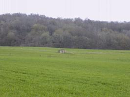 Ligne Maginot - 7B - LES NASSES OUEST - (Blockhaus pour arme infanterie) - Pris de l'ouest