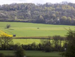 Ligne Maginot - 8B - FOCHELLE - (Blockhaus pour arme infanterie) - Vue vers le nord-est, le blockhaus 7B, l'autre coté de la Meuse