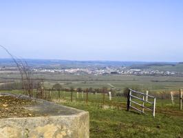 Ligne Maginot - 10A - LE CHENELET NORD - (Blockhaus pour canon) - Vue vers Carignan