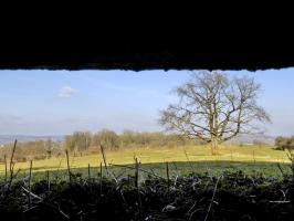 Ligne Maginot - 11A - LA BOULETTE - (Blockhaus pour canon) - Vue du créneau AC vers l'est