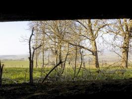 Ligne Maginot - 11A - LA BOULETTE - (Blockhaus pour canon) - Vue du créneau Hotchkiss vers le nord