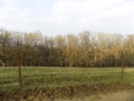 Ligne Maginot - 11B - FERME LA FOLIE - (Blockhaus pour arme infanterie) - Vue vers le nord-est