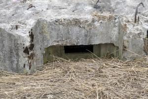 Ligne Maginot - PUTTWINKEL NORD - (Blockhaus de type indéterminé) - Le créneau