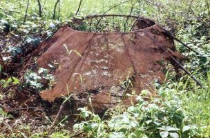 Ligne Maginot - LAUDREFANG - A37 - (Ouvrage d'infanterie) - Bloc 3
Le support de camouflage de la cloche GFM avec les restes du tissue
