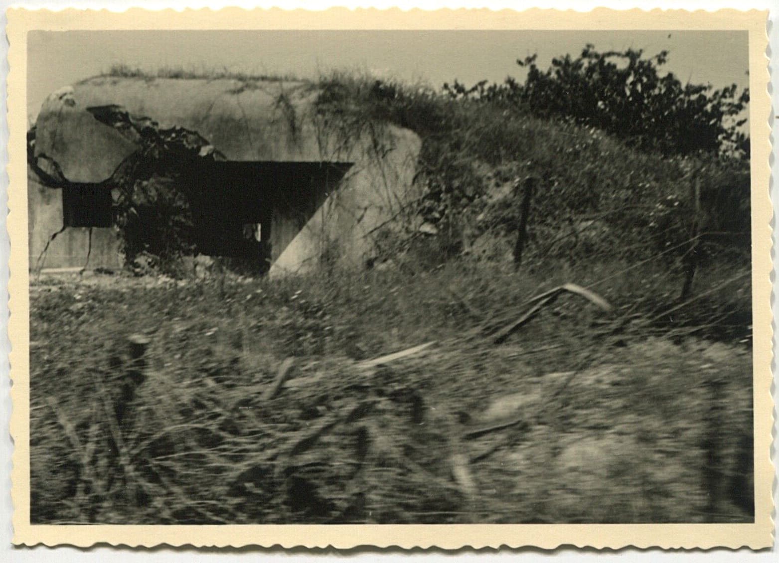 Ligne Maginot - B738 - LIESSIES - (Blockhaus pour canon) -  - Inconnu