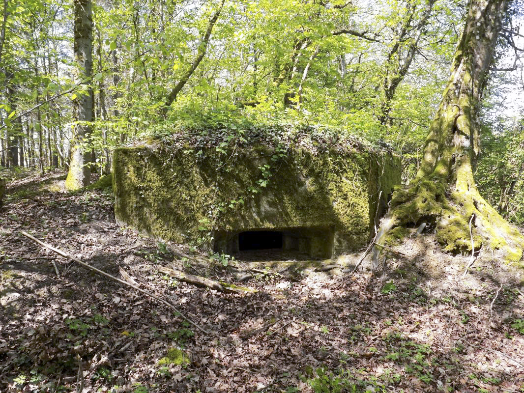 Ligne Maginot - 23A - ELAIRE SUD - (Blockhaus pour canon) - Face droite, créneau AC