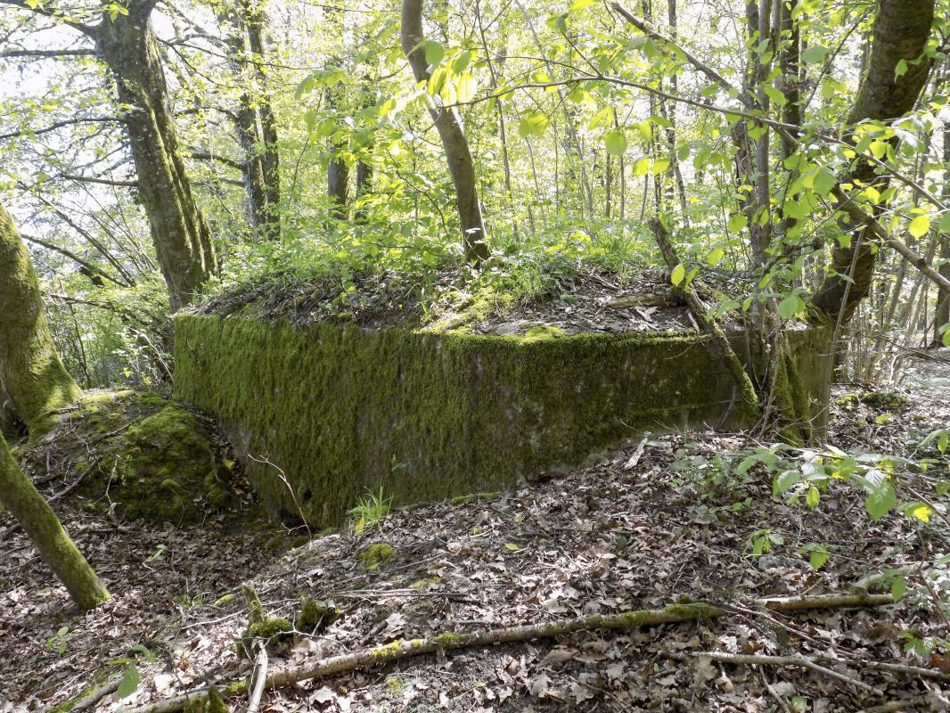 Ligne Maginot - 23A - ELAIRE SUD - (Blockhaus pour canon) - Face frontale/gauche et gauche