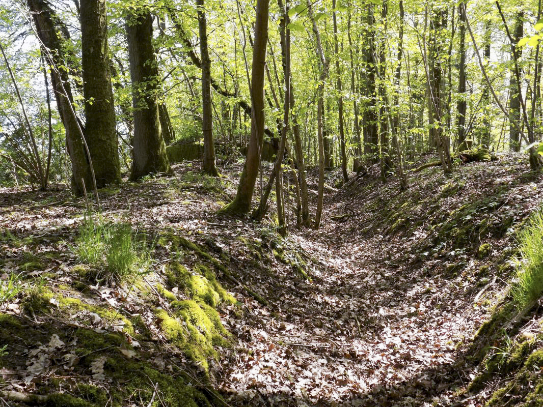 Ligne Maginot - 23A - ELAIRE SUD - (Blockhaus pour canon) - Tranchée d’accès