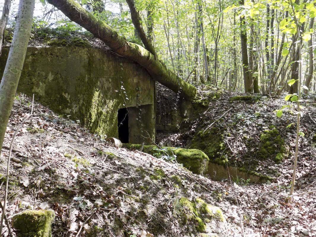 Ligne Maginot - 23A - ELAIRE SUD - (Blockhaus pour canon) - L'arrière - R Tucker