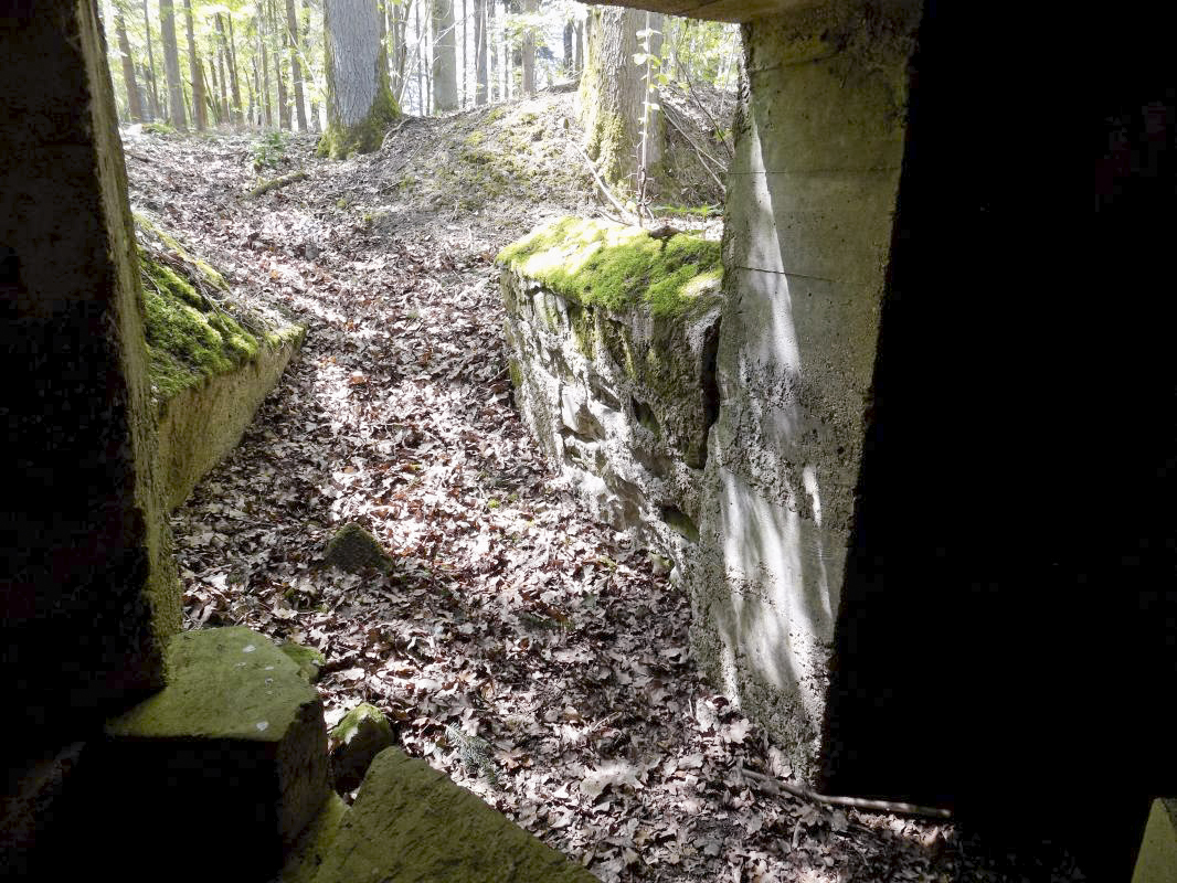 Ligne Maginot - 23A - ELAIRE SUD - (Blockhaus pour canon) - L'entrée