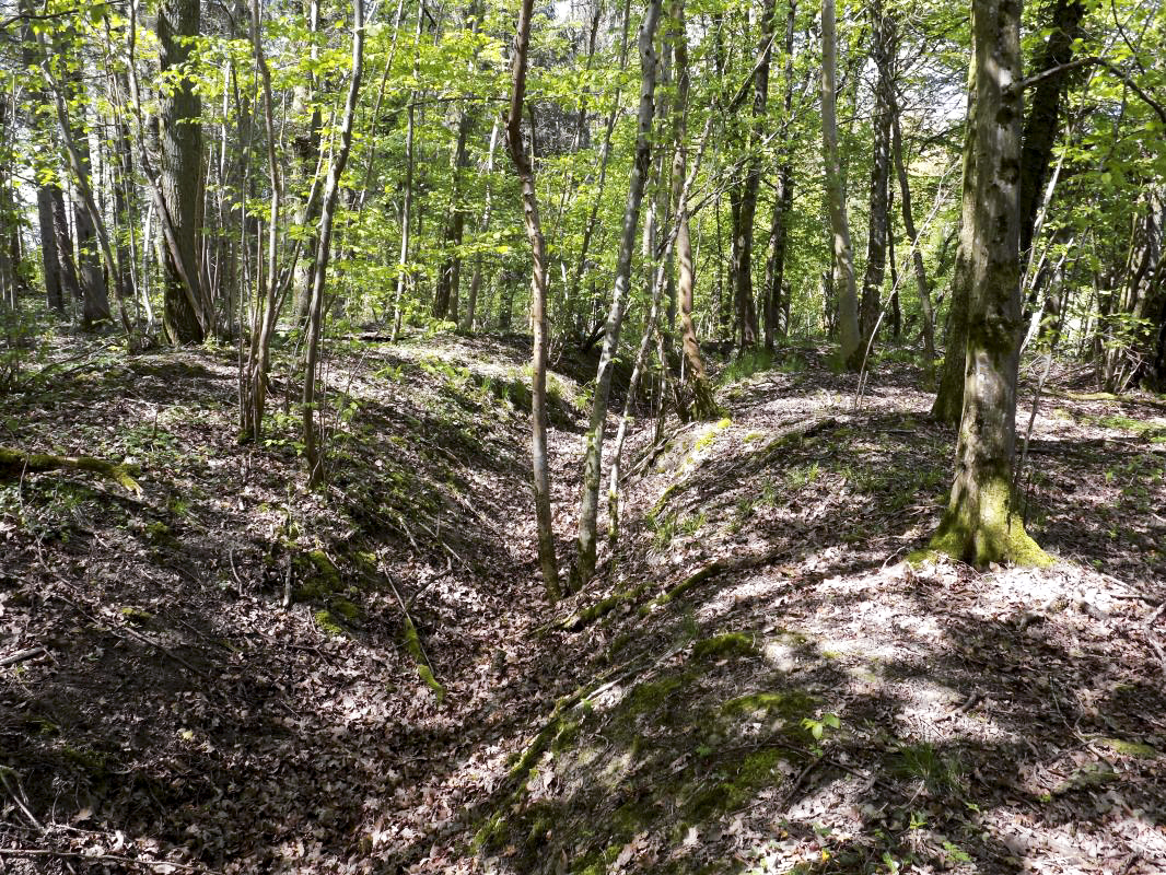 Ligne Maginot - 23A - ELAIRE SUD - (Blockhaus pour canon) - Tranchée du bloc vers le nord-ouest - R Tucker