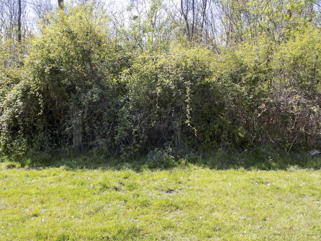 Ligne Maginot - 24A - BOIS DE FLIZE EST - (Blockhaus pour canon) - Face frontale !