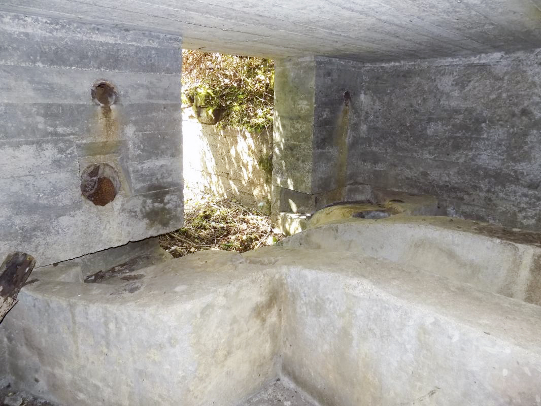 Ligne Maginot - 24A - BOIS DE FLIZE EST - (Blockhaus pour canon) - L'entrée