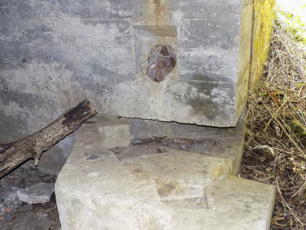 Ligne Maginot - 24A - BOIS DE FLIZE EST - (Blockhaus pour canon) - Facilité pour les deux types canon AC
