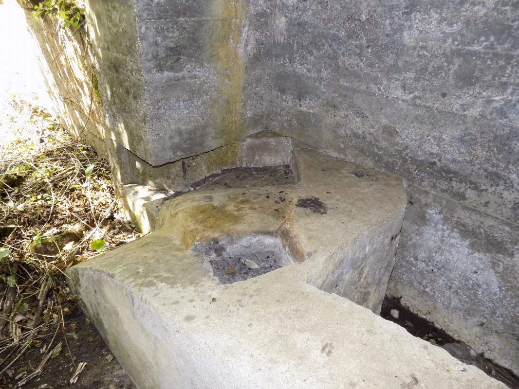Ligne Maginot - 24A - BOIS DE FLIZE EST - (Blockhaus pour canon) - Facilité pour les deux types canon AC