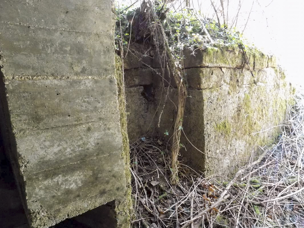 Ligne Maginot - 24A - BOIS DE FLIZE EST - (Blockhaus pour canon) - L'entrée