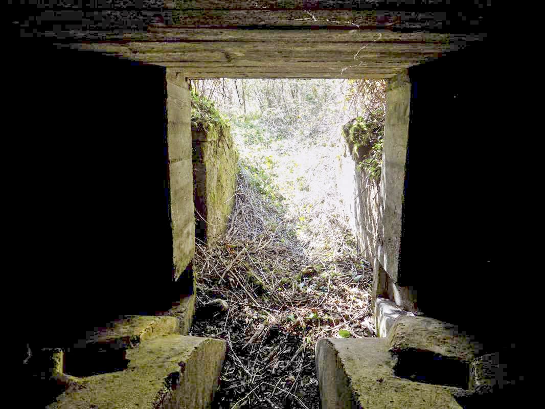 Ligne Maginot - 24A - BOIS DE FLIZE EST - (Blockhaus pour canon) - L'entrée